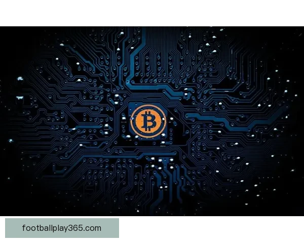 拉齐奥动态解析努诺塔瓦雷斯成长与佩德罗诺斯林竞争态势